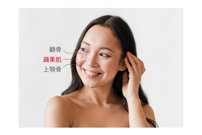 逆齡肌密 歲月請留步 打造甜美可人的貴婦蘋果肌